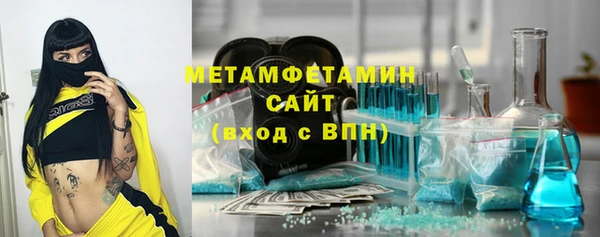 прущие грибы Верея