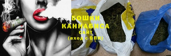 прущие грибы Верея