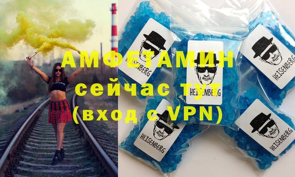 прущие грибы Верея