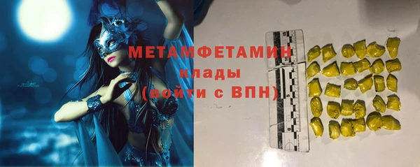 прущие грибы Верея