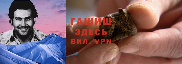 прущие грибы Верея