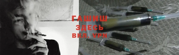 прущие грибы Верея