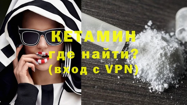 прущие грибы Верея