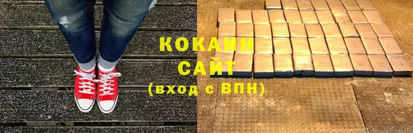 прущие грибы Верея