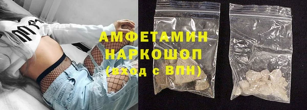 прущие грибы Верея