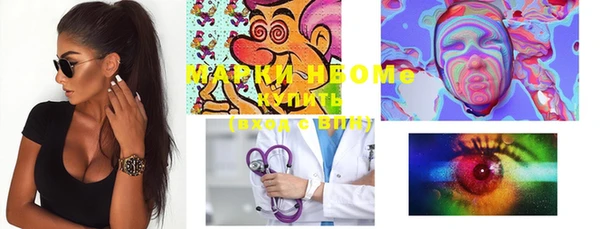 прущие грибы Верея