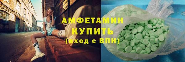 прущие грибы Верея
